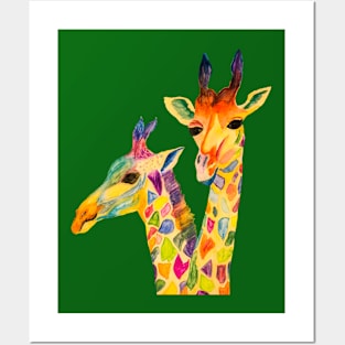 Three Curious giraffes Posters and Art